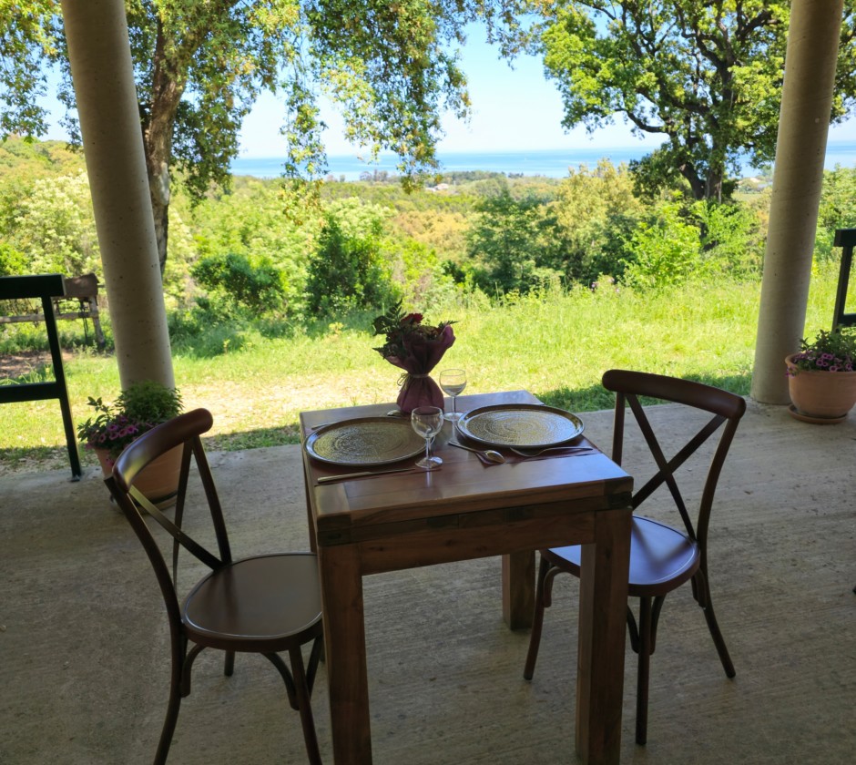 photo terrasse.jpg